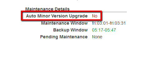 Under Maintenance Details section, search for the Auto Minor Version Upgrade status